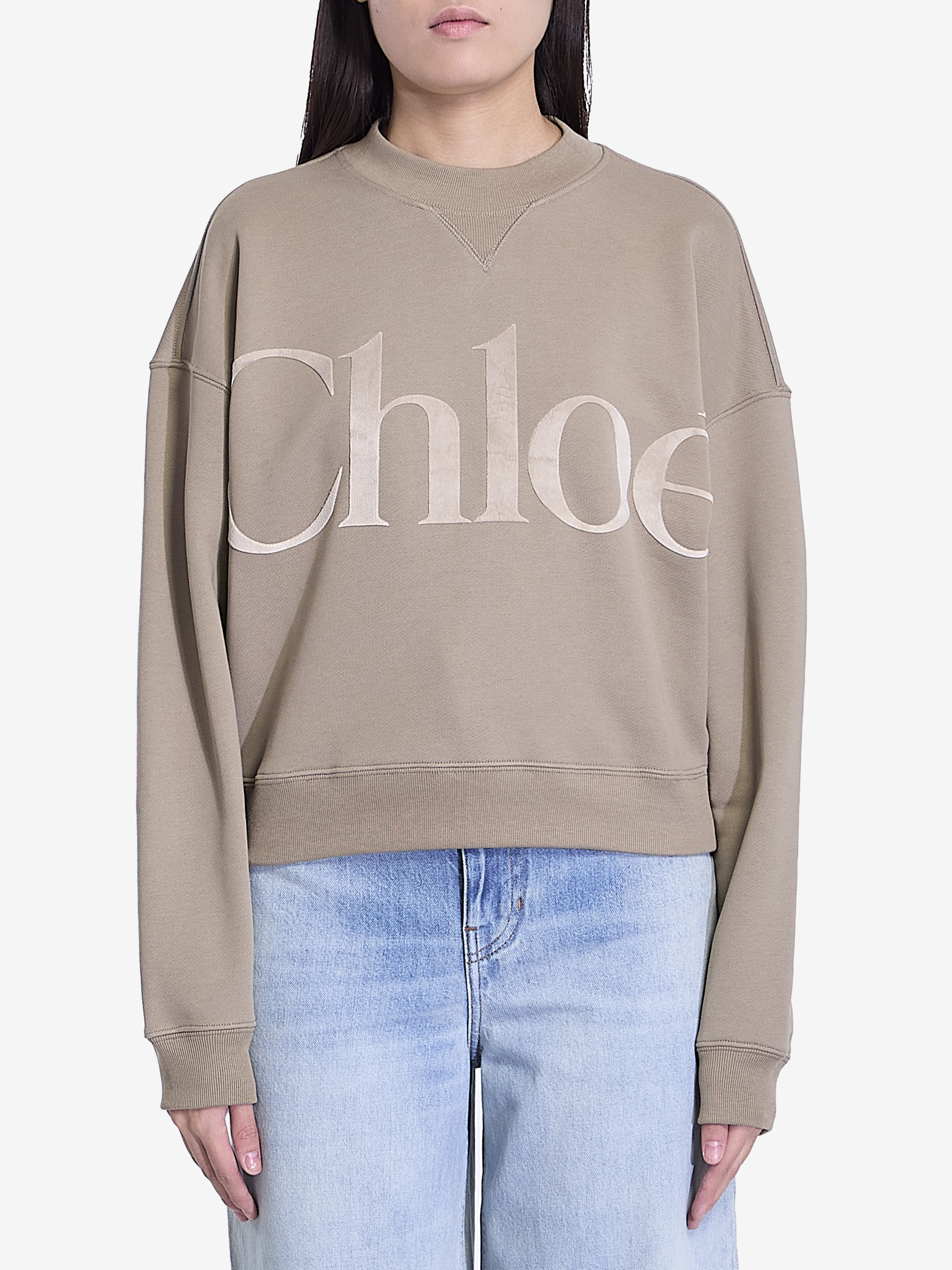 Shop Chloé Chlo Logo Sweatshirt In Grey