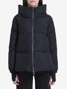 Laminar Gore-Tex down jacket